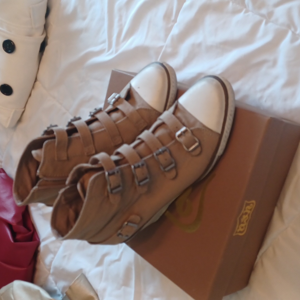 ASH Wedge Sneakers